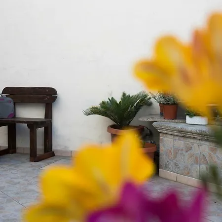 Le Tre Rose Di Gio *