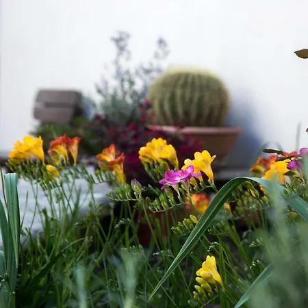 Le Tre Rose Di Gio Guest house